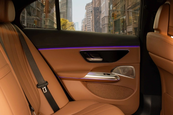 Business__Interior_Door